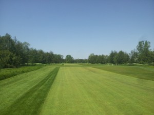 #7 Fairway