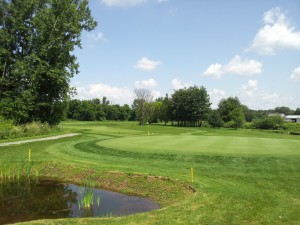 #1 Green